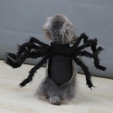 Halloween Spider Costume for Pets Black