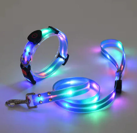 Glow Guard Collar Blue