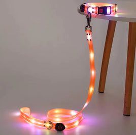 Glow Guard Collar Orange