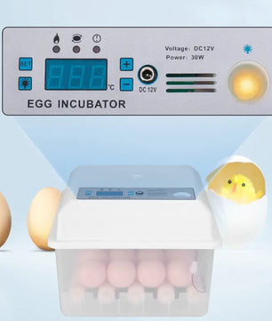 Efficient Incubation For Healthy Hatchlings Assured - Lusy Store LLC 