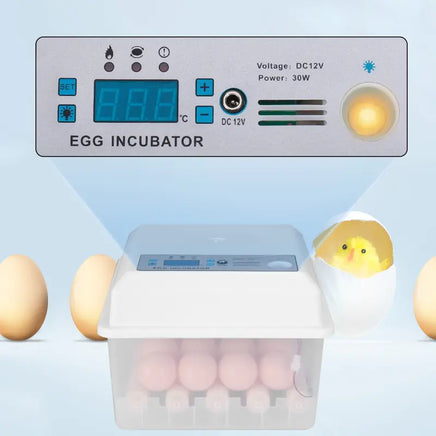 Efficient Incubation For Healthy Hatchlings Assured
