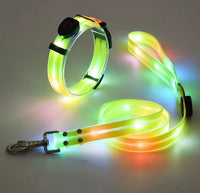 Glow Guard Collar Yellow