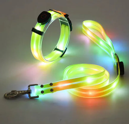 Glow Guard Collar Yellow