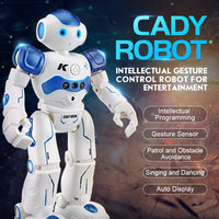 Lusy Store LLC Robot Toy Gesture Control Toys