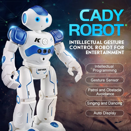 Lusy Store LLC Robot Toy Gesture Control Toys