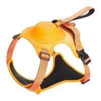 Pet Dog Hand Holding Rope Orange Medium