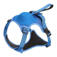 Pet Dog Hand Holding Rope Blue Extra Large
