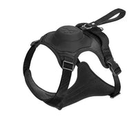 Pet Dog Hand Holding Rope Black Medium