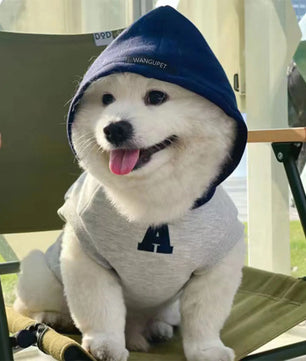 Lusy Store LLC Dog Hoodie Winter Warm Dog Clothes Soft Sweatshirt Small Medium Dogs Coat Cold Weather Pet Clothing Chihuahua Pug pet