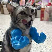 Pet Cat Muscle Arms 3d Creative Strong Man Giant Arms Halloween Cat Costume Accessory Cat's Neck Arm With Muscle For Pet Cosplay