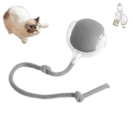 Interactive Cat Ball with Faux Tail, Automatic Rolling & Rechargeable, Smart Electric Mouse Toy for Dogs & Cats 1PC Grey