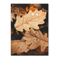 Autumn Decoration Canvas Poster Yellow Leaves Fall View Wall Art Print Pumpkin Painting Halloween Picture Living Room Home Decor 15