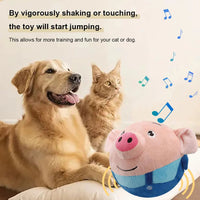 Interactive Moving Dog Ball, Cartoon Pig Plush USB Rechargeable Toy, Washable & Talking Pet Toy for Dogs & Cats