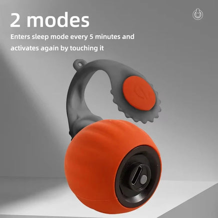 Interactive Cat Ball with Faux Tail, Automatic Rolling & Rechargeable, Smart Electric Mouse Toy for Dogs & Cats