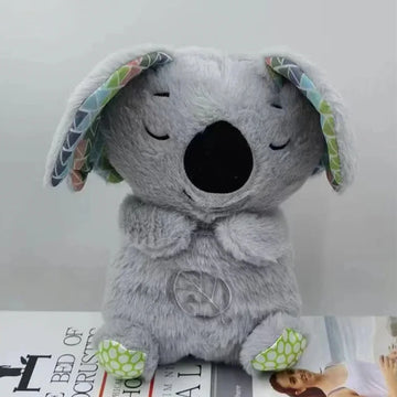 Koala A