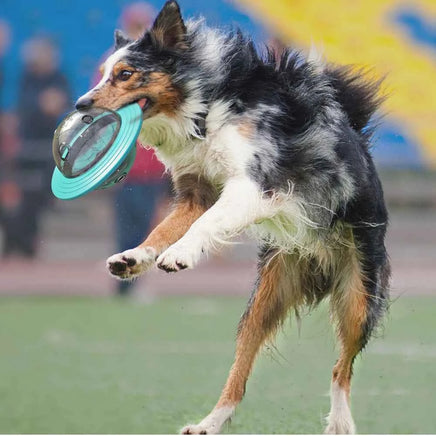 Interactive Flying Disk Dog & Cat Toy, Slow Feeder & Food Dispenser, IQ Training Chew Toy for Small to Large Dogs