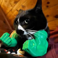 Cat Halloween Costumes 3D Printed Pet Muscle Hanging Arm Creative Cat Dog Dress-Up Prop Cats Accessory Pet Cosplay Muscle Toy