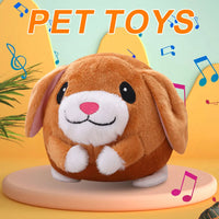 Interactive Moving Dog Ball, Cartoon Pig Plush USB Rechargeable Toy, Washable & Talking Pet Toy for Dogs & Cats