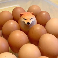 Creative Shibako Dog Egg Squishy Fidget Toy - Lusy Store