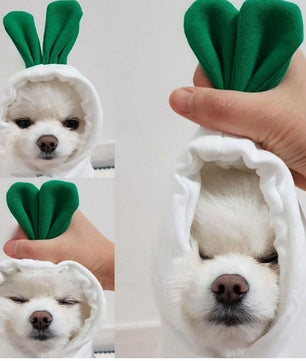 Lusy Store LLC Cute Fruit Dog Clothes for Small Dogs Hoodies Warm Fleece Pet Clothing for Puppy Small Medium Dogs pet