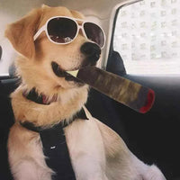 Funny Interactive Squeaky Dog Toys, Cool Stuffed Plush Gifts for Birthday, Joint Toys for Small, Medium & Large Dogs