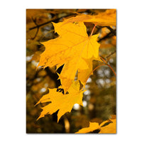 Autumn Decoration Canvas Poster Yellow Leaves Fall View Wall Art Print Pumpkin Painting Halloween Picture Living Room Home Decor 9
