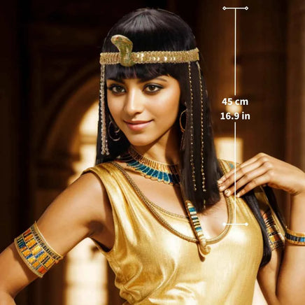 Queens of Egypt Black Wigs for Women With Snake Accessories Party Synthetic Halloween Costumes Cosplay Wigs Manufacturer