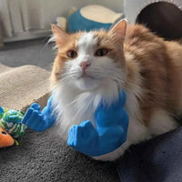 Cat Halloween Costumes 3D Printed Pet Muscle Hanging Arm Creative Cat Dog Dress-Up Prop Cats Accessory Pet Cosplay Muscle Toy