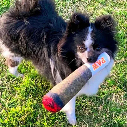 Funny Interactive Squeaky Dog Toys, Cool Stuffed Plush Gifts for Birthday, Joint Toys for Small, Medium & Large Dogs