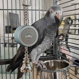 Parrot Toys to Teaching Training Bird Talking Coach Interactive Recording Playback Retell Electronic Voice Chewing Tearing Bell