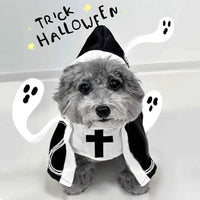 Cat Halloween Costumes Cats and Dogs Cross-dressing Funny COS Small and Medium-sized Pet Photo Props Funny Costumes Supplies