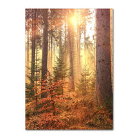 Autumn Decoration Canvas Poster Yellow Leaves Fall View Wall Art Print Pumpkin Painting Halloween Picture Living Room Home Decor 19