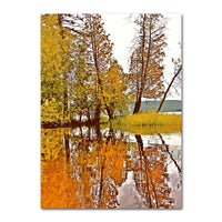 Autumn Decoration Canvas Poster Yellow Leaves Fall View Wall Art Print Pumpkin Painting Halloween Picture Living Room Home Decor 12