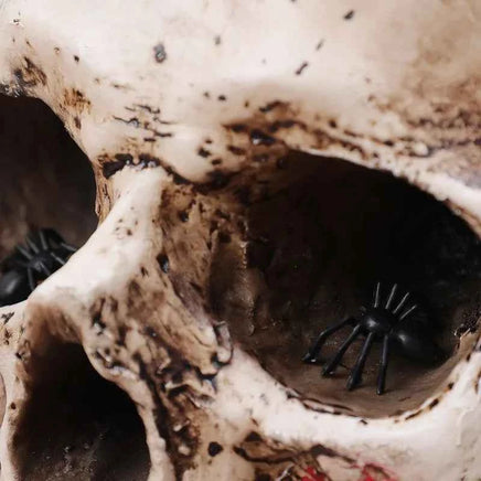 50/200pcs Black Mini Spider Haunted House Spider Web Bar Party Decoration Supplies Simulation Tricky Toy Halloween Decoration