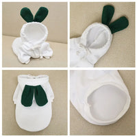 Cute Fruit Dog Clothes for Small Dogs Hoodies Warm Fleece Pet Clothing for Puppy Small Medium Dogs White Carrot