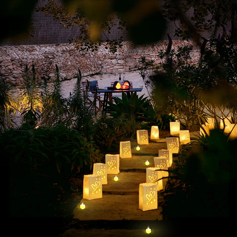 Lusy Store LLC Will You Marry Me Luminous Paper Bag Wedding Proposal Decoration with Illuminated Letter Logo and LED light For Proposal Party Event &amp; Party