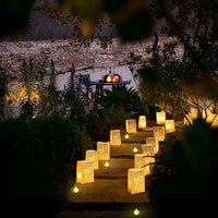 Lusy Store LLC Will You Marry Me Luminous Paper Bag Wedding Proposal Decoration with Illuminated Letter Logo and LED light For Proposal Party Event &amp; Party