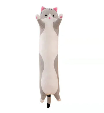 Grey cat