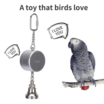 Parrot Toys to Teaching Training Bird Talking Coach Interactive Recording Playback Retell Electronic Voice Chewing Tearing Bell Silver CHINA
