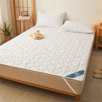 Waterproof Mattress Topper with Elastic Band Quilted Protector Pad Bedspread Winter Mattress Cover for Single/Double Bed 140/160 Lusy Store