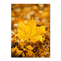 Autumn Decoration Canvas Poster Yellow Leaves Fall View Wall Art Print Pumpkin Painting Halloween Picture Living Room Home Decor 8