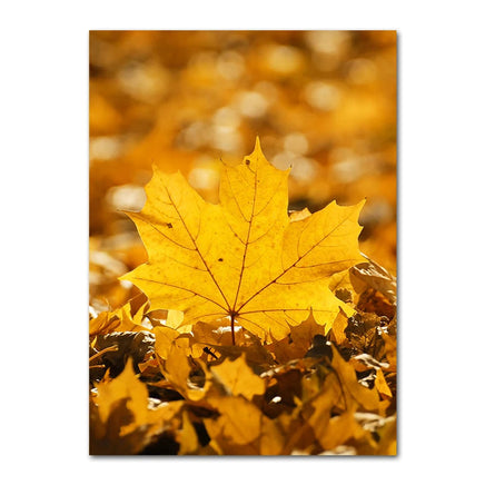 Autumn Decoration Canvas Poster Yellow Leaves Fall View Wall Art Print Pumpkin Painting Halloween Picture Living Room Home Decor 8