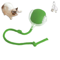 Interactive Cat Ball with Faux Tail, Automatic Rolling & Rechargeable, Smart Electric Mouse Toy for Dogs & Cats 1PC Green