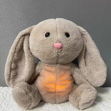 Rabbit A
