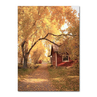 Autumn Decoration Canvas Poster Yellow Leaves Fall View Wall Art Print Pumpkin Painting Halloween Picture Living Room Home Decor 17