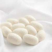 100% Mulberry silk with warm  thickened quilt core 5kg winter comforter cotton cover spring autumn home quilt luxury blanket Lusy Store