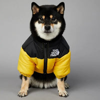 Luxury Winter Dog Jacket Yellow Large