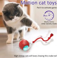 Cat Rolling Ball Red