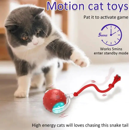 Cat Rolling Ball Red