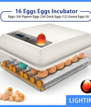 Efficient Incubation For Healthy Hatchlings Assured - Lusy Store LLC 
